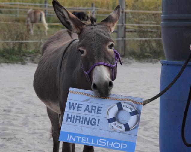 Recruiting-Esel Felix