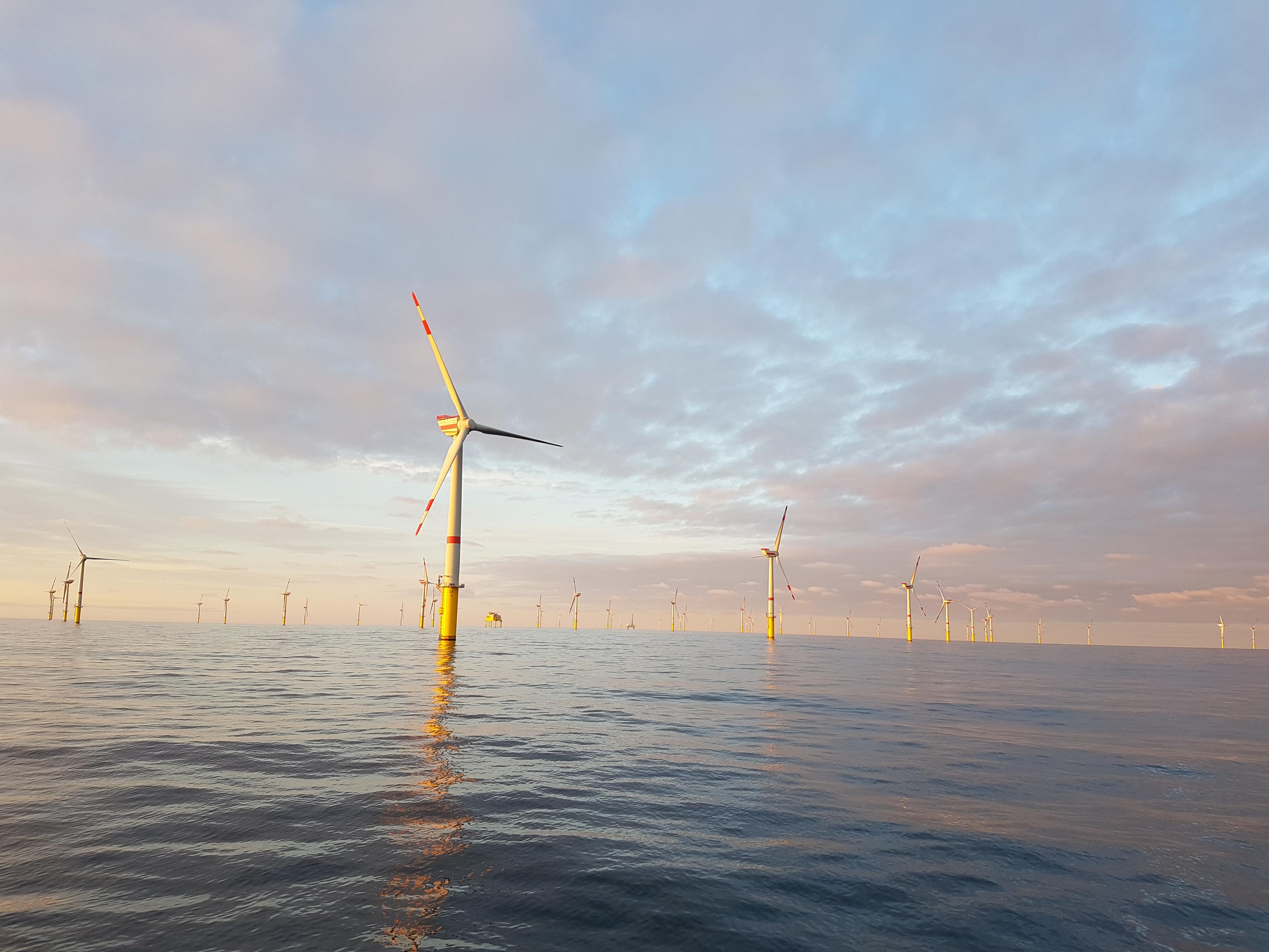Unternehmensfoto von Ingenieurpartnerschaft Lewanzik & Hoffmann mbB (1)