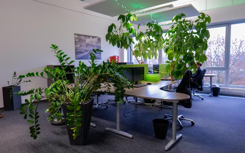 Büroraum vom Vertrieb