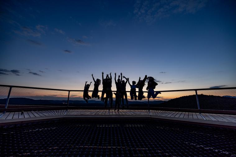 On top of the treetop walk