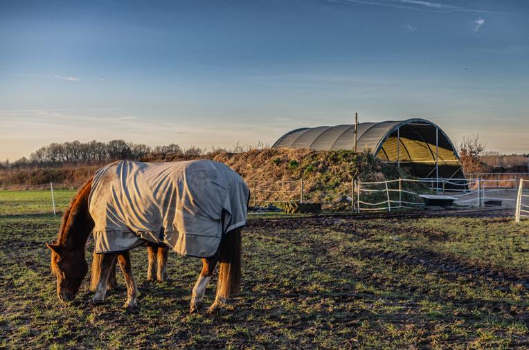 Unsere Halle im Einsatz