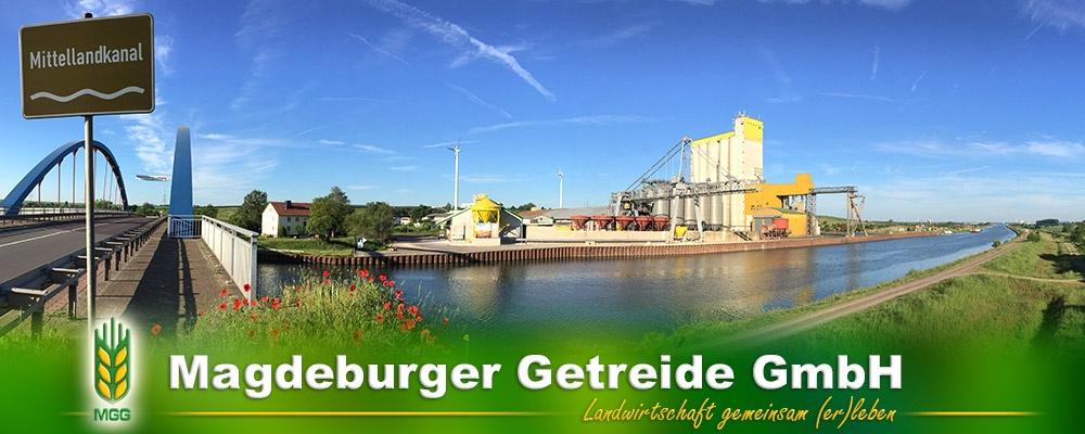 Unternehmensfoto von Magdeburger Getreide GmbH (1)