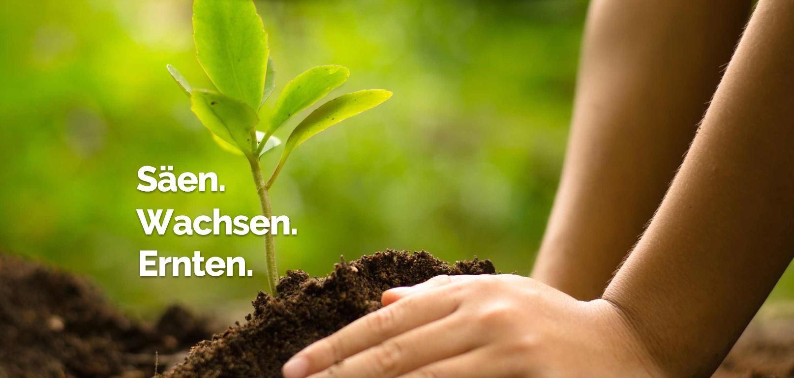 Unternehmensfoto von LGG Steuerberatung GmbH (1)