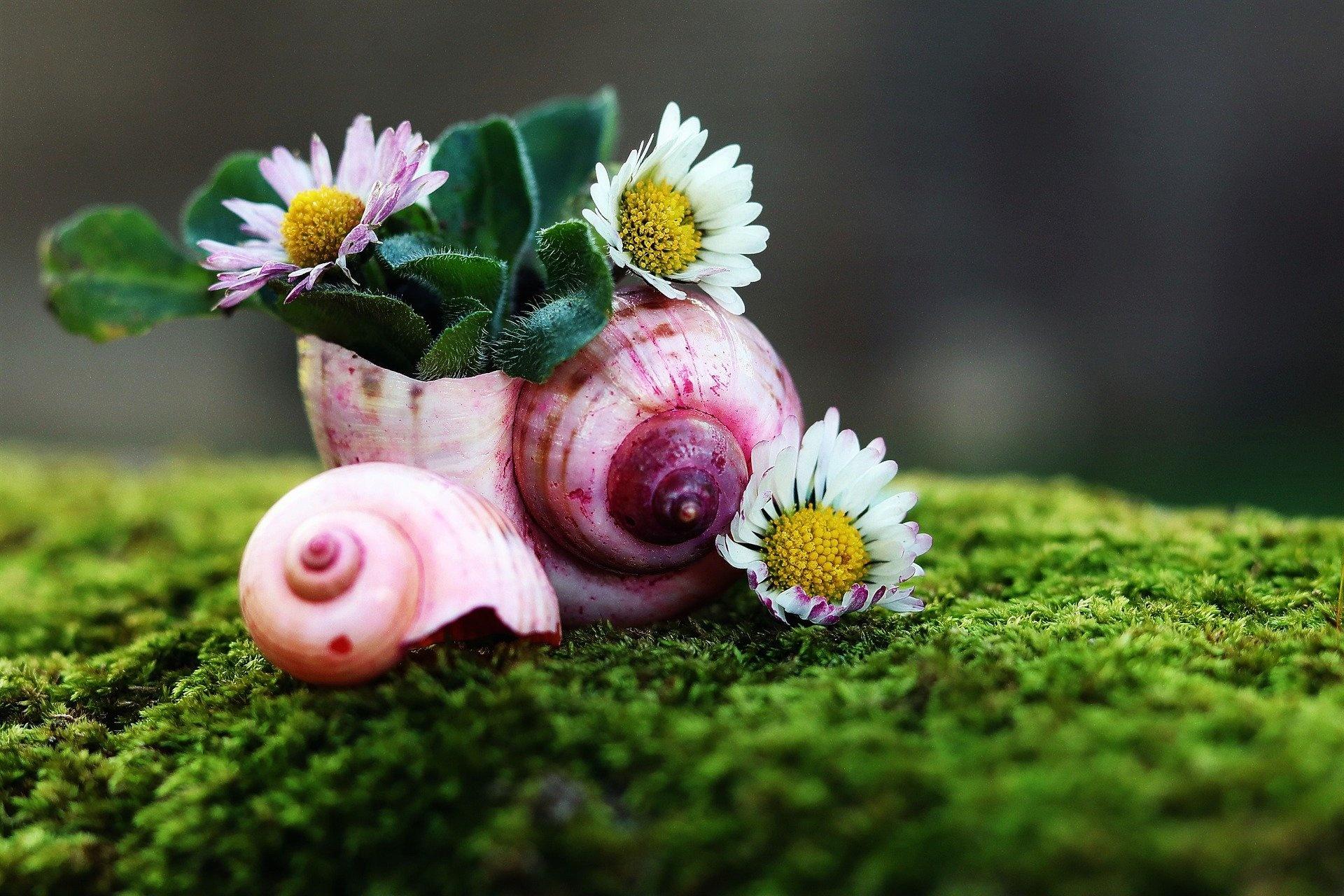 Unternehmensfoto von Kinderintensivpflegedienst Gänseblümchen (1)