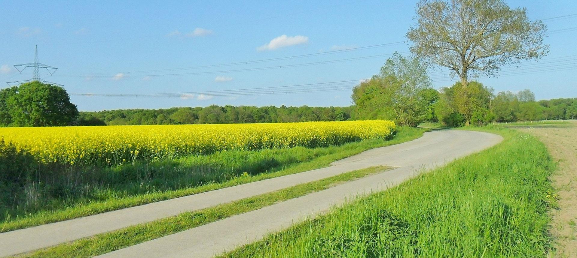 Unternehmensfoto (1)