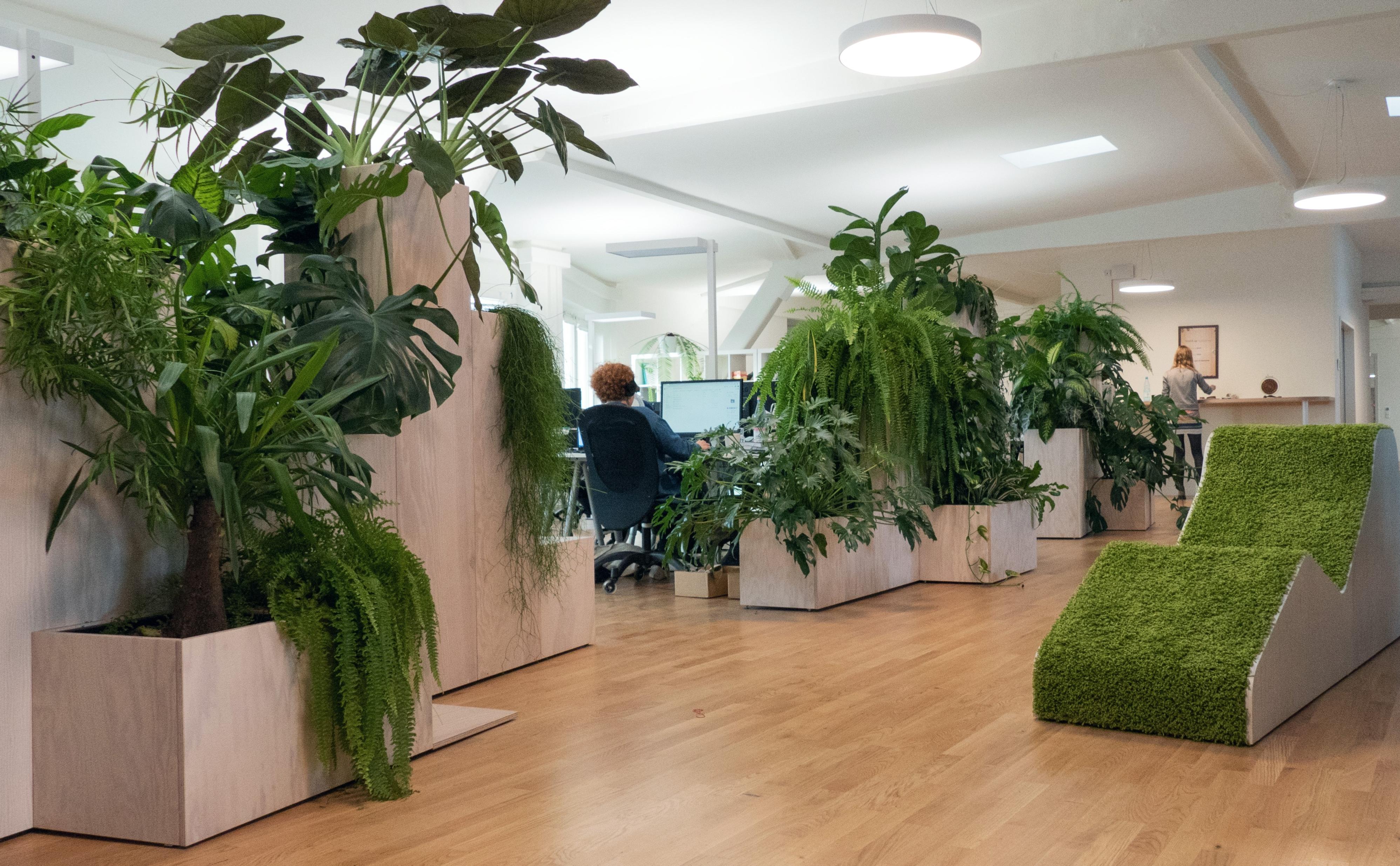 Unternehmensfoto von sofatutor GmbH (1)