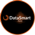 Company logo of DataSmart Point GmbH