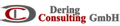 Unternehmenslogo von Dering Consulting GmbH