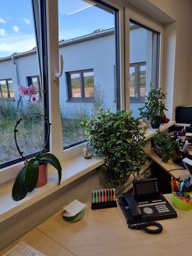 Arbeitsplatz mit Blick in den Innenhof