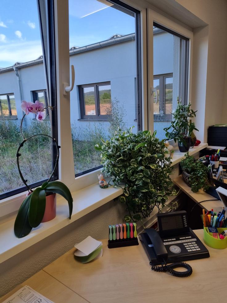 Arbeitsplatz mit Blick in den Innenhof