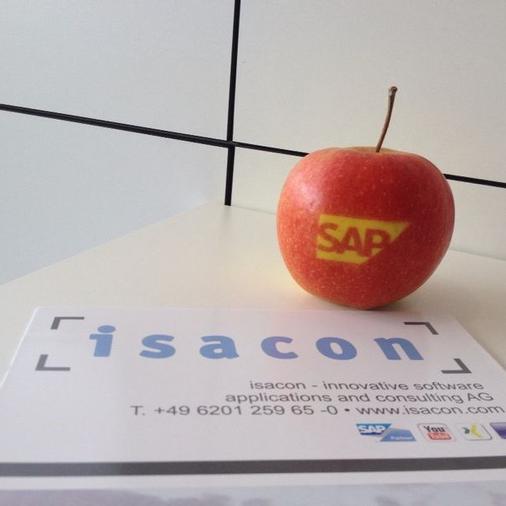 SAP-Partner