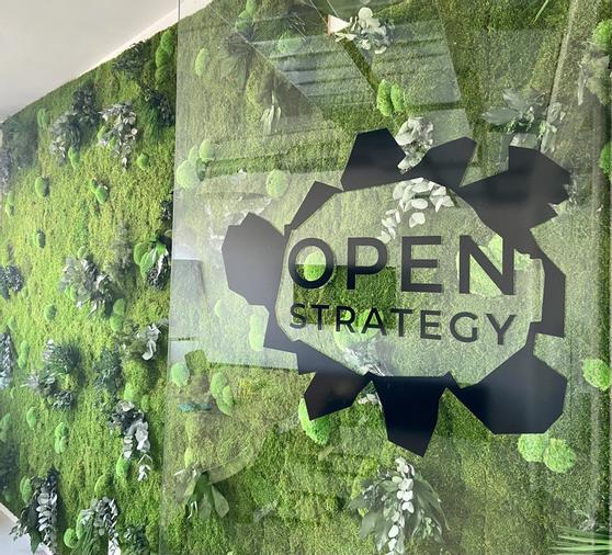 Open Strategy