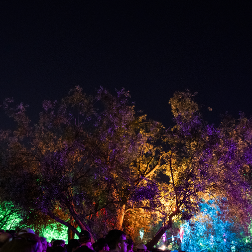 Festivalbeleuchtung Habitat Festival