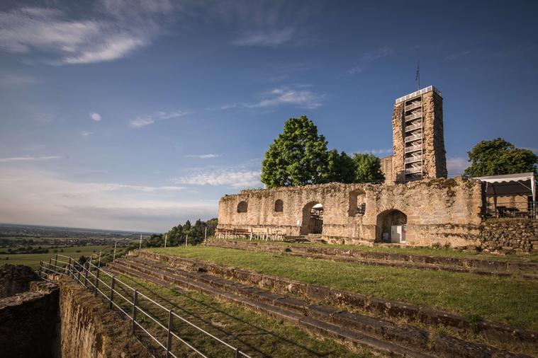 Wachtenburg Wachenheim